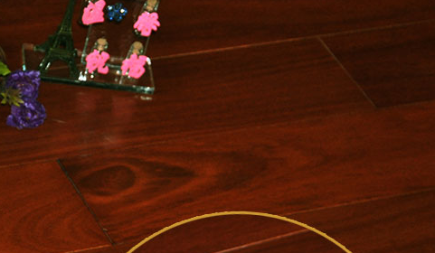 二翅豆3.png 二翅豆3.png