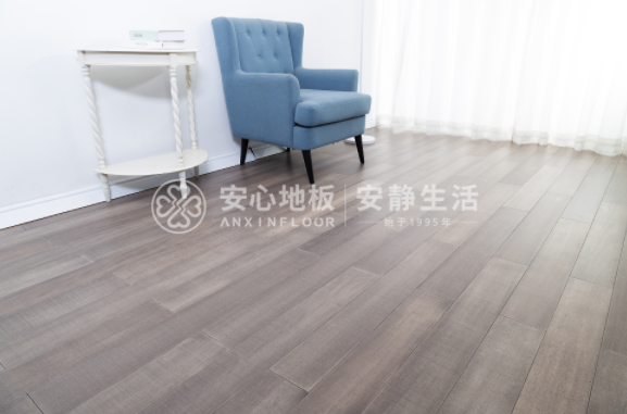 圓盤(pán)豆3.png 圓盤(pán)豆3.png