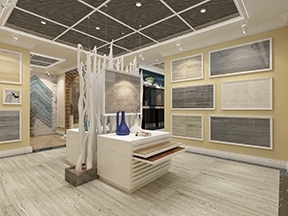 河南省周口市項(xiàng)城市專賣店